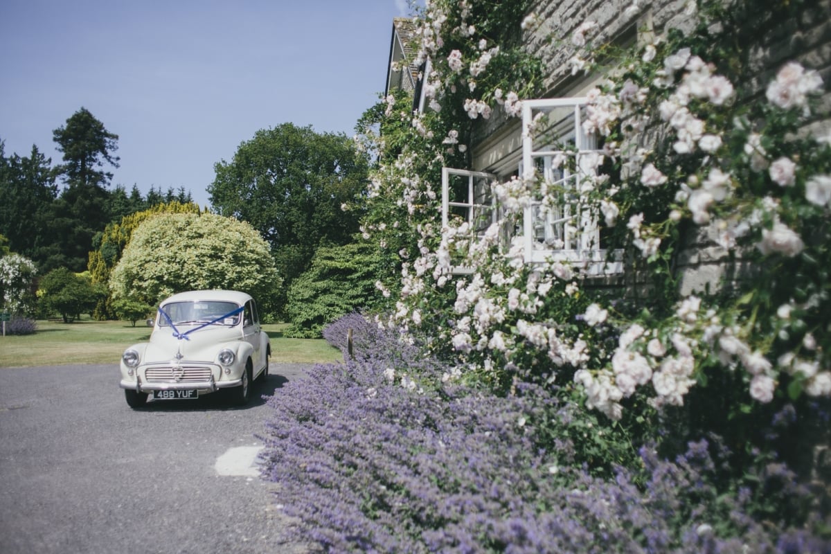 Front entrance to Glanusk Lodge with the roses in full bloom